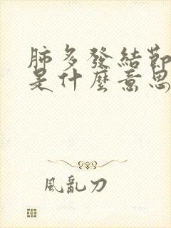 肺多发结节2类是什么意思