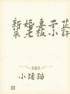 新婚妻子芷珊和菜老板小许小说免费阅读