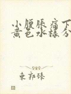 小腹胀痛下面流黄色水样分泌物封面