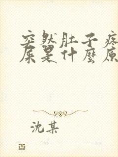 突然肚子疼想拉屎是什么原因呢封面