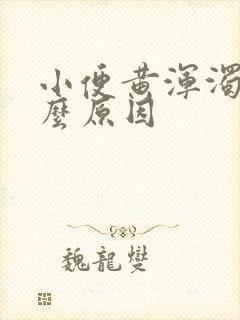 小便黄浑浊是什么原因