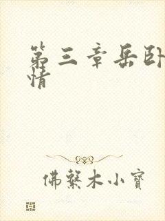 第三章岳卧室激情