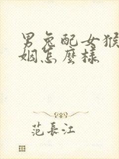 男兔配女猴的婚姻怎么样