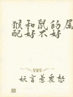 猴和鼠的属相婚配好不好封面