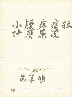 小腹疼痛拉血便什么原因