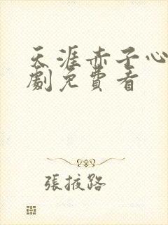 天涯赤子心电视剧免费看