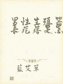 男性生殖器根部长疙瘩是怎么回事