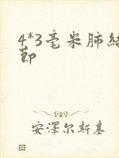 4*3毫米肺结节封面