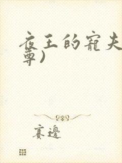 夜王的宠夫(女尊)封面