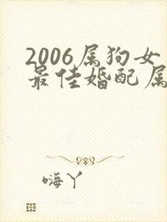 2006属狗女最佳婚配属相