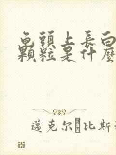 龟头上长白色的颗粒是什么原因封面