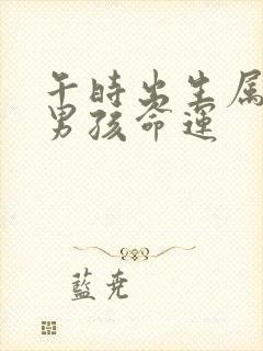 午时出生属牛的男孩命运