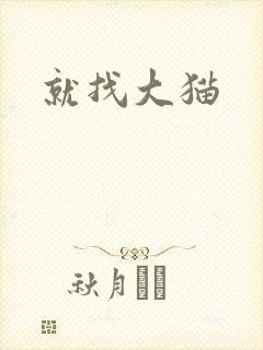 就找大猫封面