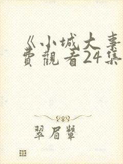 《小城大事》免费观看24集