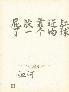 屁股靠近肛门长了一个肉球不痛不痒封面