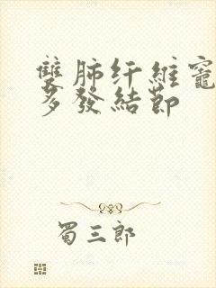 双肺纤维灶双肺多发结节