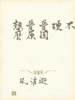 想爱爱硬不起什么原因