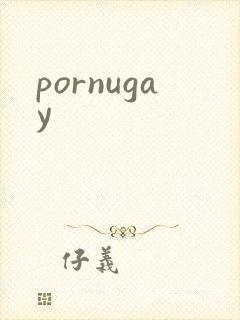 pornugay封面