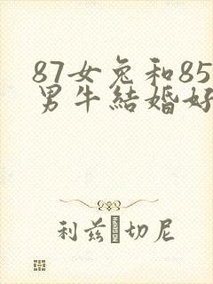 87女兔和85男牛结婚好不好