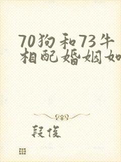 70狗和73牛相配婚姻如何