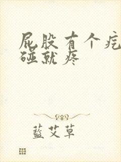 屁股有个疙瘩一碰就疼