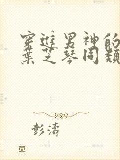 穿进男神的梦里叶芝琴同类小说