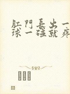 肛门长出一个肉球一碰就疼封面