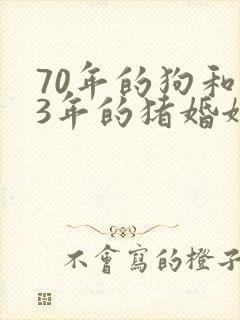 70年的狗和83年的猪婚姻