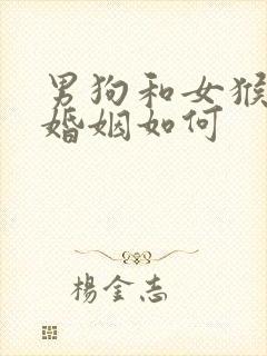 男狗和女猴相配婚姻如何