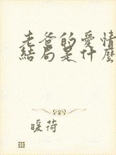 老爸的爱情肖平结局是什么封面