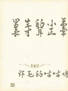 男生的小弟弟多长才算正常