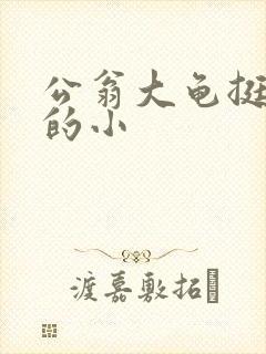 公翁大龟挺进我的小