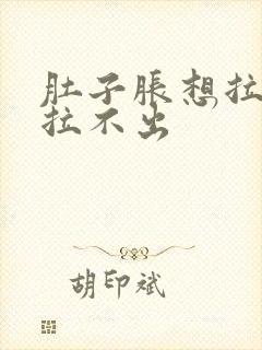 肚子胀想拉屎又拉不出