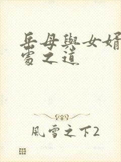 岳母与女婿的相处之道封面