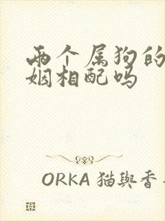 两个属狗的人婚姻相配吗