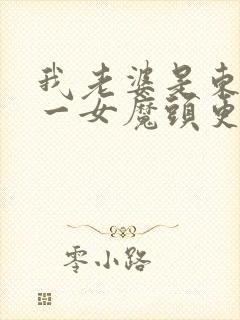 我老婆是东晋第一女魔头更新封面