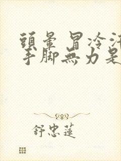 头晕 冒冷汗 手脚无力是怎么回事封面