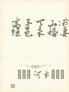 高手下山:我的绝色未婚妻 无弹窗