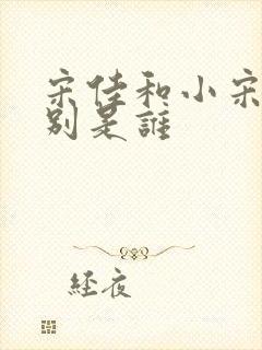 宋佳和小宋佳分别是谁