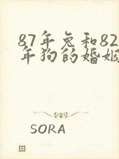 87年兔和82年狗的婚姻状况如何封面