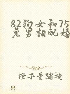 82狗女和75兔男相配婚姻如何封面