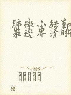 肺微小结节3毫米边界清晰