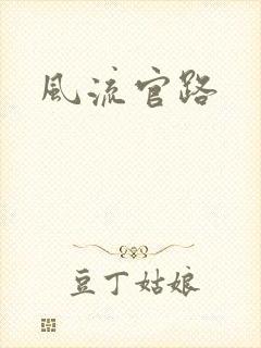 风流官路