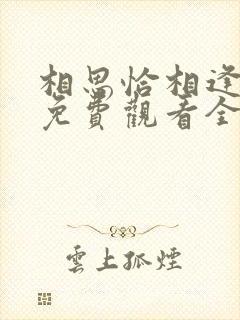 相思恰相逢短剧免费观看全集高清