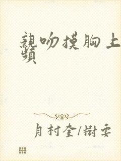 亲吻摸胸上床视频