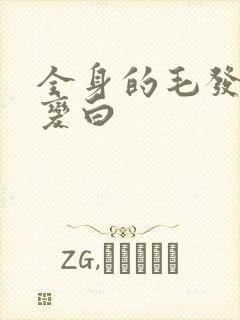 全身的毛发都在变白