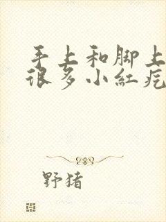 手上和脚上起了很多小红疙瘩很痒封面