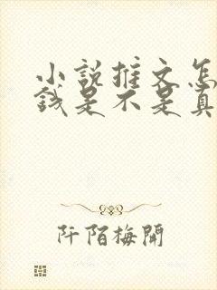 小说推文怎么赚钱是不是真的封面