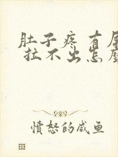 肚子疼 有屎意 拉不出怎么办封面