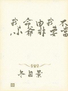 我命由我不由天,小爷非要当神仙